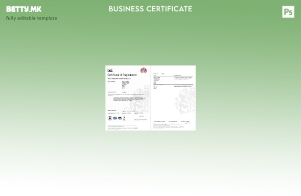 модерен стил Ирска Даблин BSI сертификат за регистрација Шаблон за Word и PDF